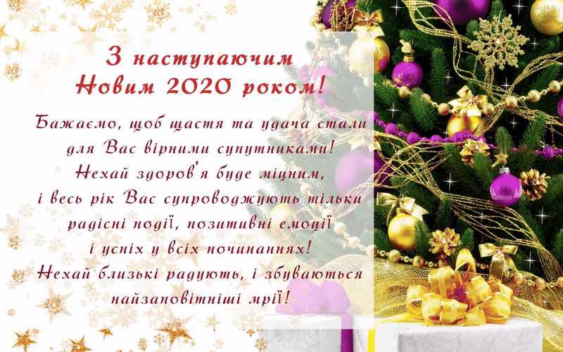 z novym rokom800